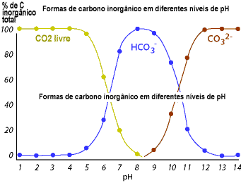 Alcalinidade