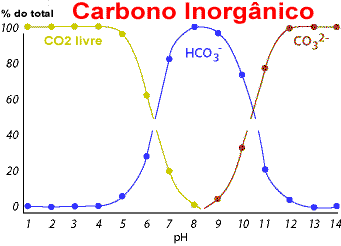 Ciclo do Carbono