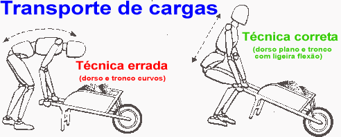 Acidentes/Ergonomia2/Transporte de cargas