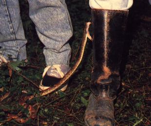 bota para proteção à picadas de cobras