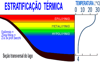 estratificao