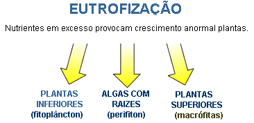 Eutrofizao