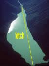 fetch