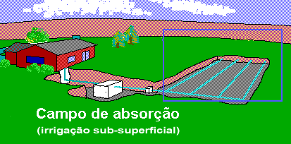 campo de absorção