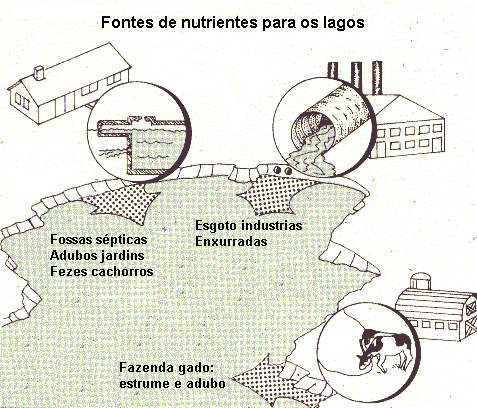 Nutrientes