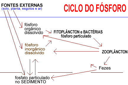 Ciclo do Fsforo